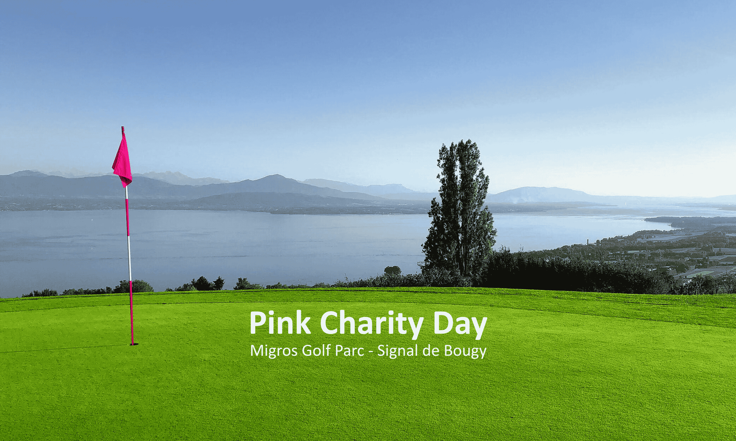 Pink Charity